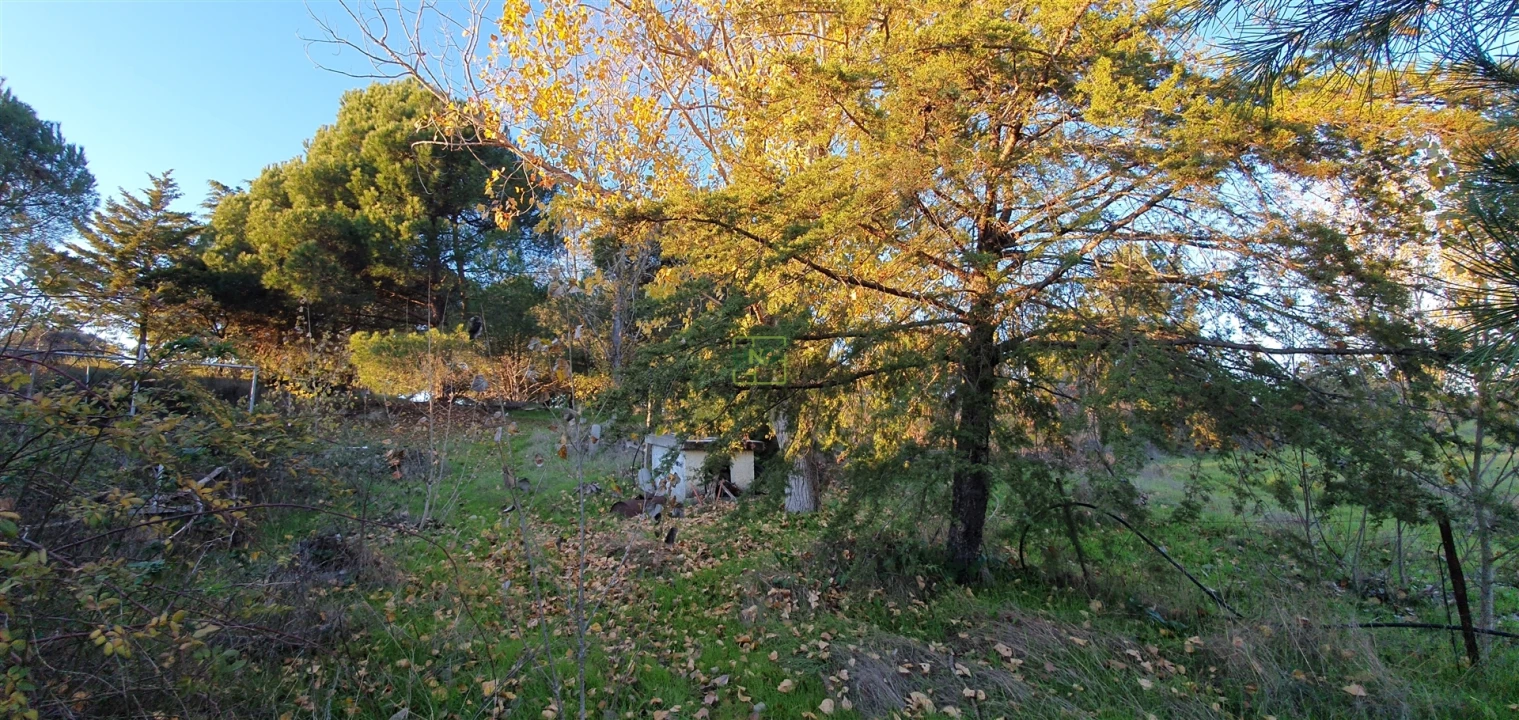 Quinta T0 para Venda em Alcains Foto 52