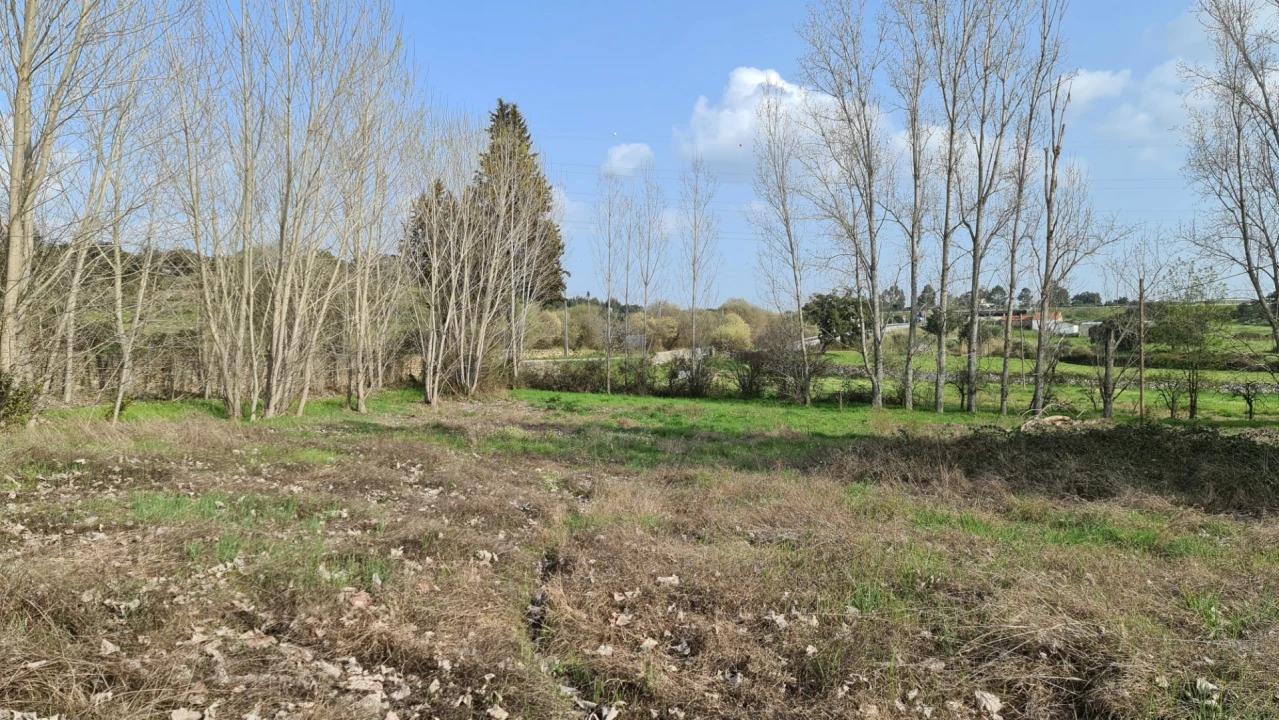 Quinta T0 para Venda em Alcains Foto 18