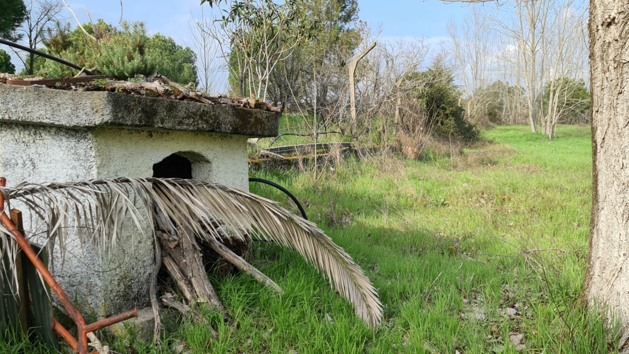 Quinta T0 para Venda em Alcains Foto 38