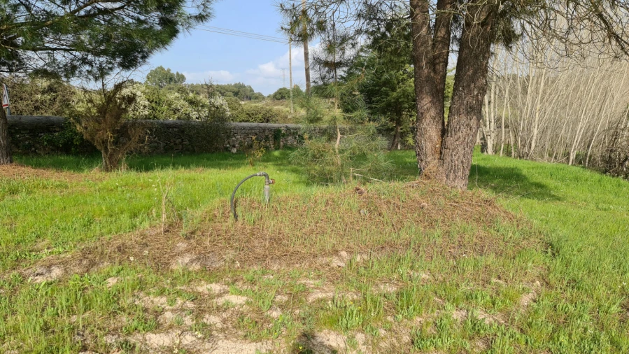 Quinta T0 para Venda em Alcains Foto 10