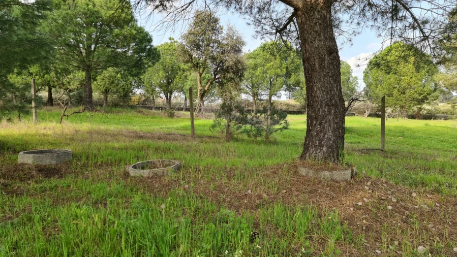 Quinta T0 para Venda em Alcains Foto 41