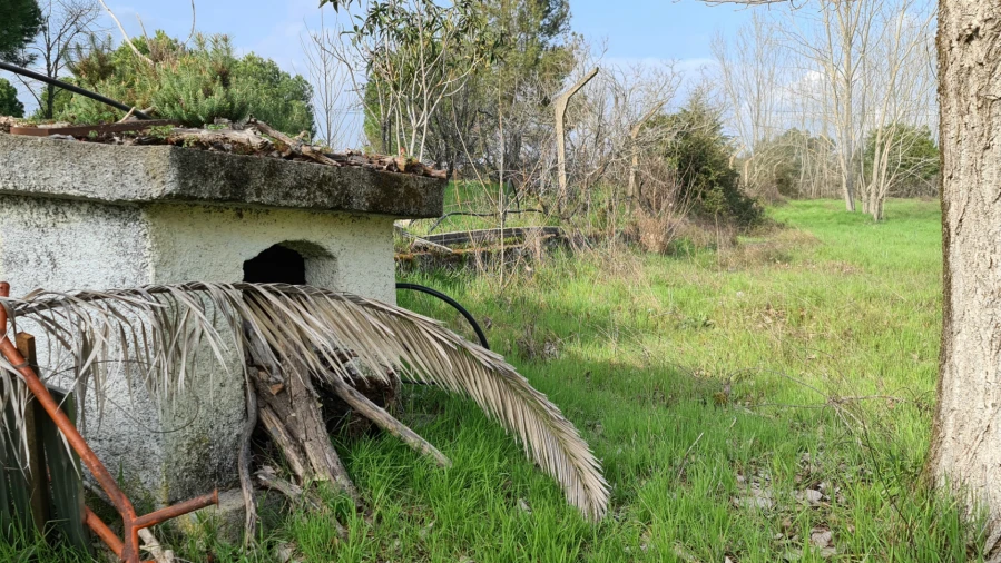 Quinta T0 para Venda em Alcains Foto 38