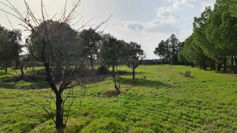 Quinta T0 para Venda em Alcains Foto 9