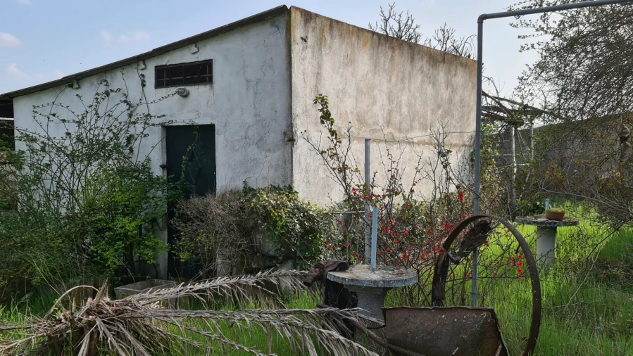 Quinta T0 para Venda em Alcains Foto 39