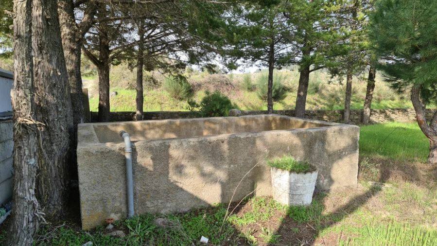 Quinta T0 para Venda em Alcains Foto 2