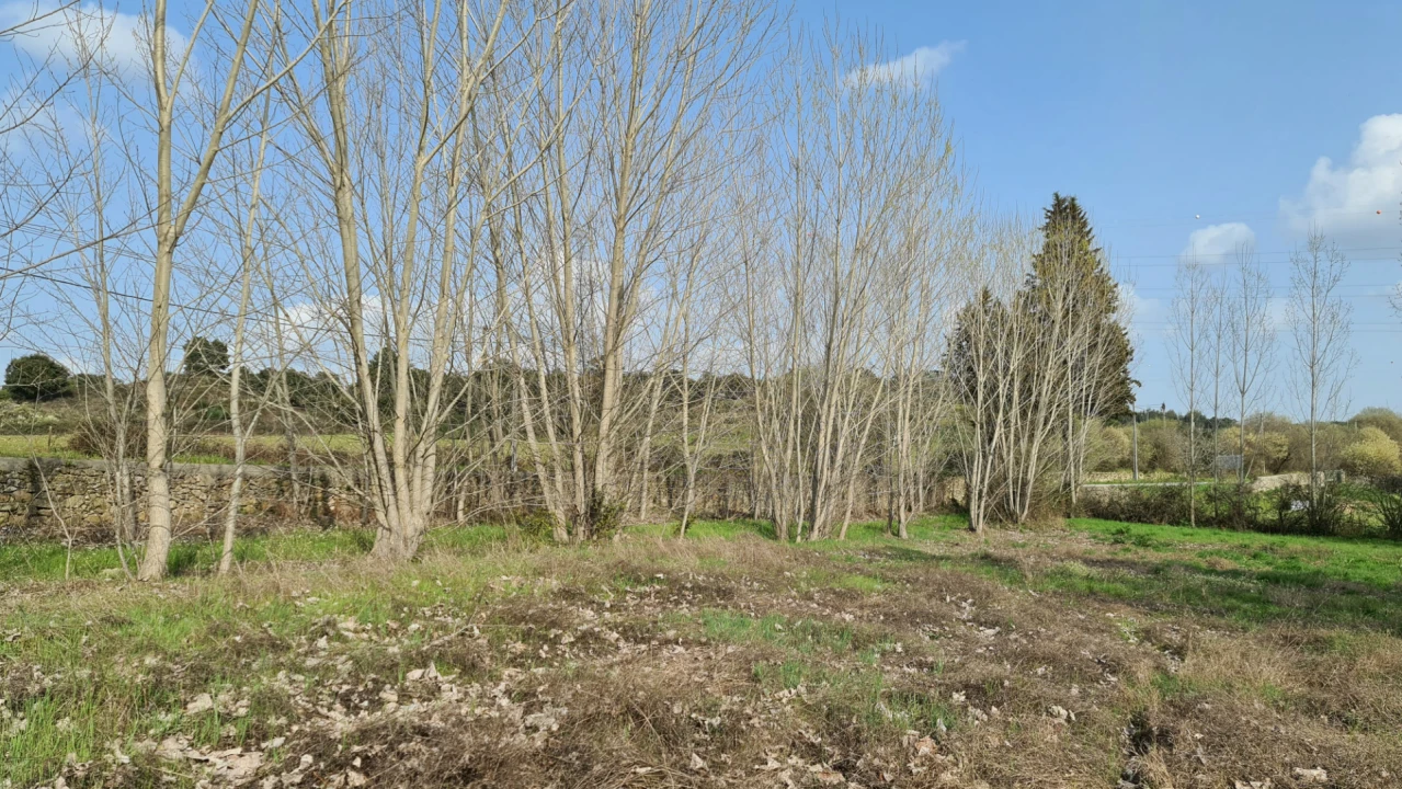 Quinta T0 para Venda em Alcains Foto 19
