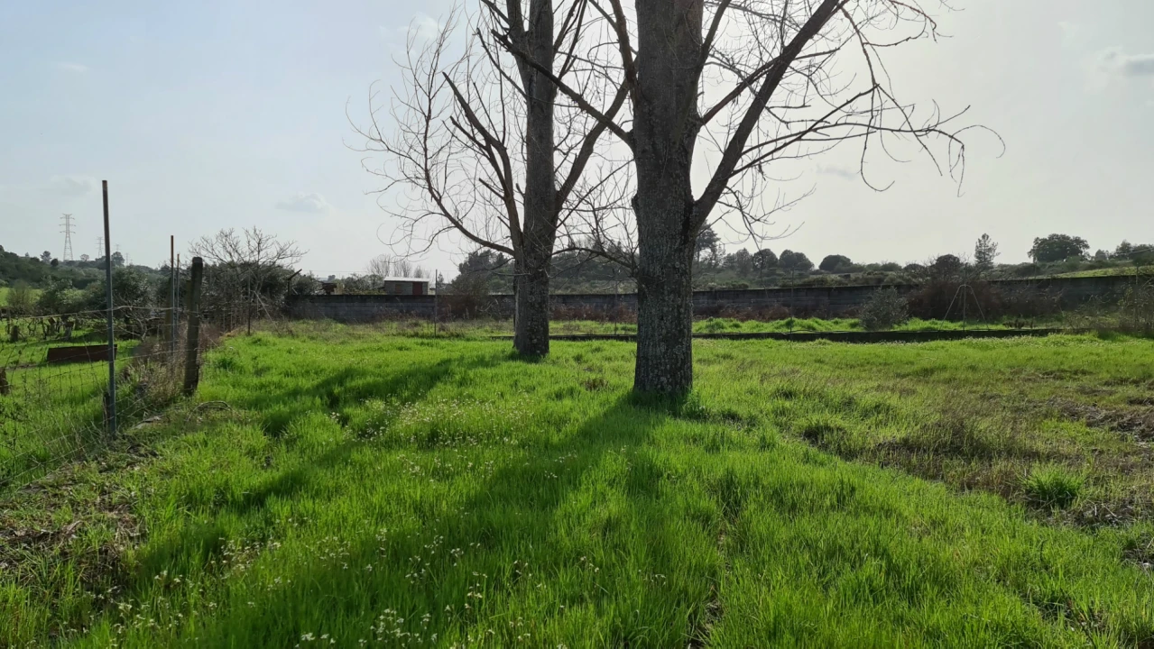Quinta T0 para Venda em Alcains Foto 27