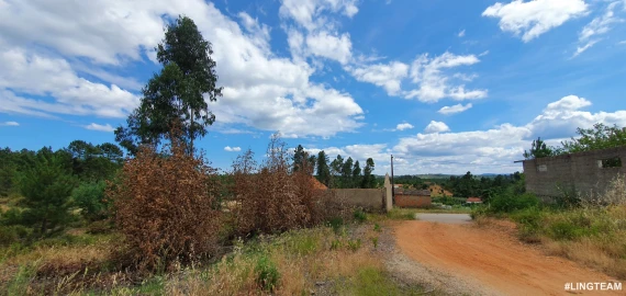 Quinta T1 para Venda em Sarzedas