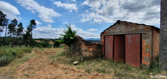 Quinta T1 para Venda em Sarzedas