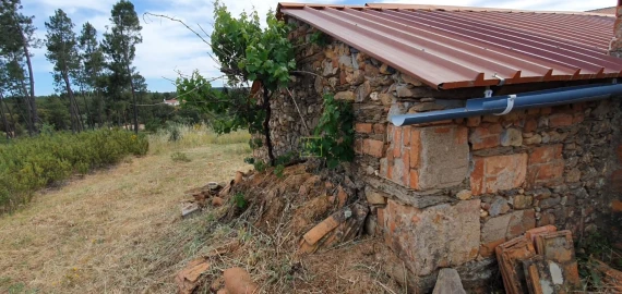 Quinta T1 para Venda em Sarzedas