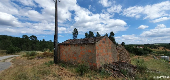 Quinta T1 para Venda em Sarzedas