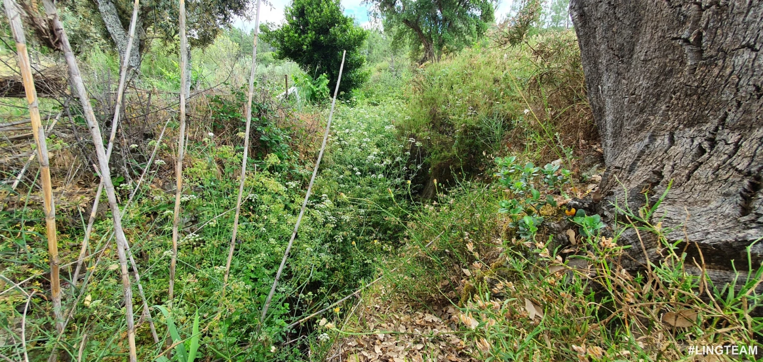 Quinta T1 para Venda em Sarzedas Foto 19