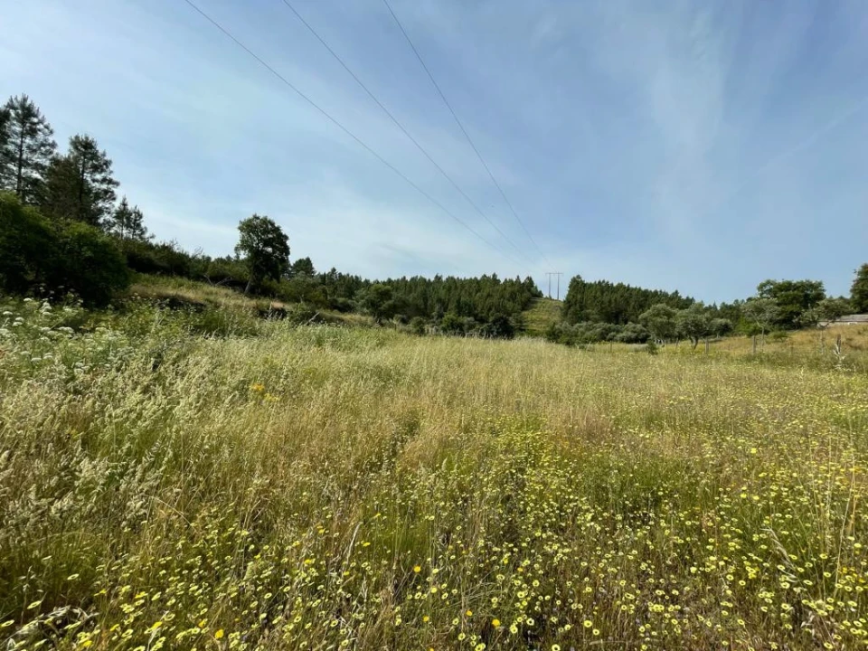 Terreno Agricola ou Rústico para Venda em Benquerenças Foto 5