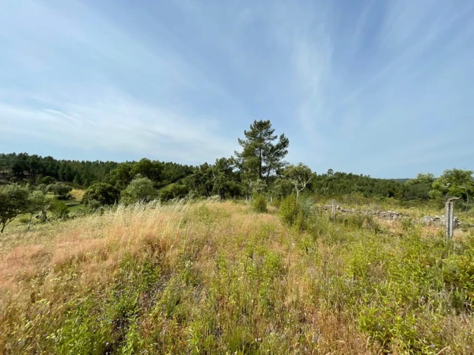 Terreno Agricola ou Rústico para Venda em Benquerenças Foto 11