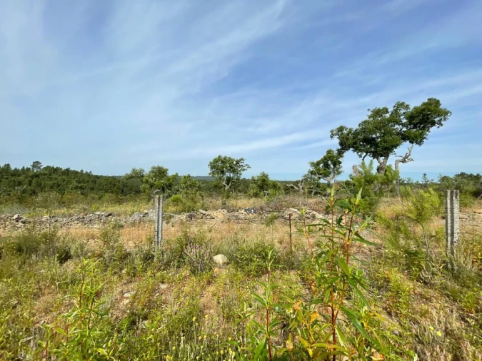 Terreno Agricola ou Rústico para Venda em Benquerenças Foto 12