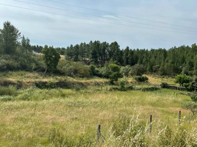 Terreno Agricola ou Rústico para Venda em Benquerenças Foto 7