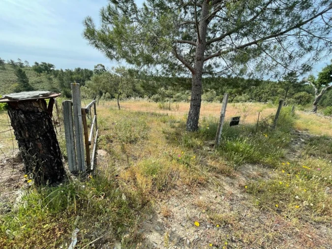 Terreno Agricola ou Rústico para Venda em Benquerenças Foto 1