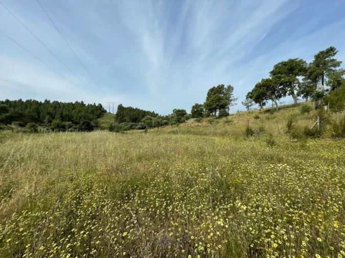 Terreno Agricola ou Rústico para Venda em Benquerenças Foto 14