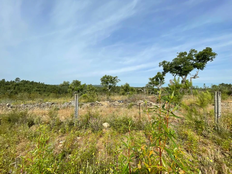 Terreno Agricola ou Rústico para Venda em Benquerenças Foto 12