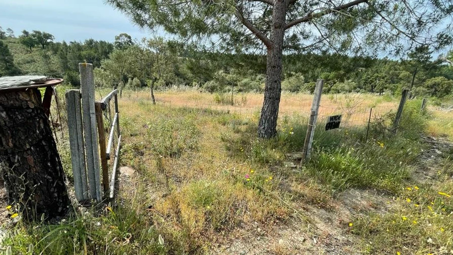 Terreno Agricola ou Rústico para Venda em Benquerenças