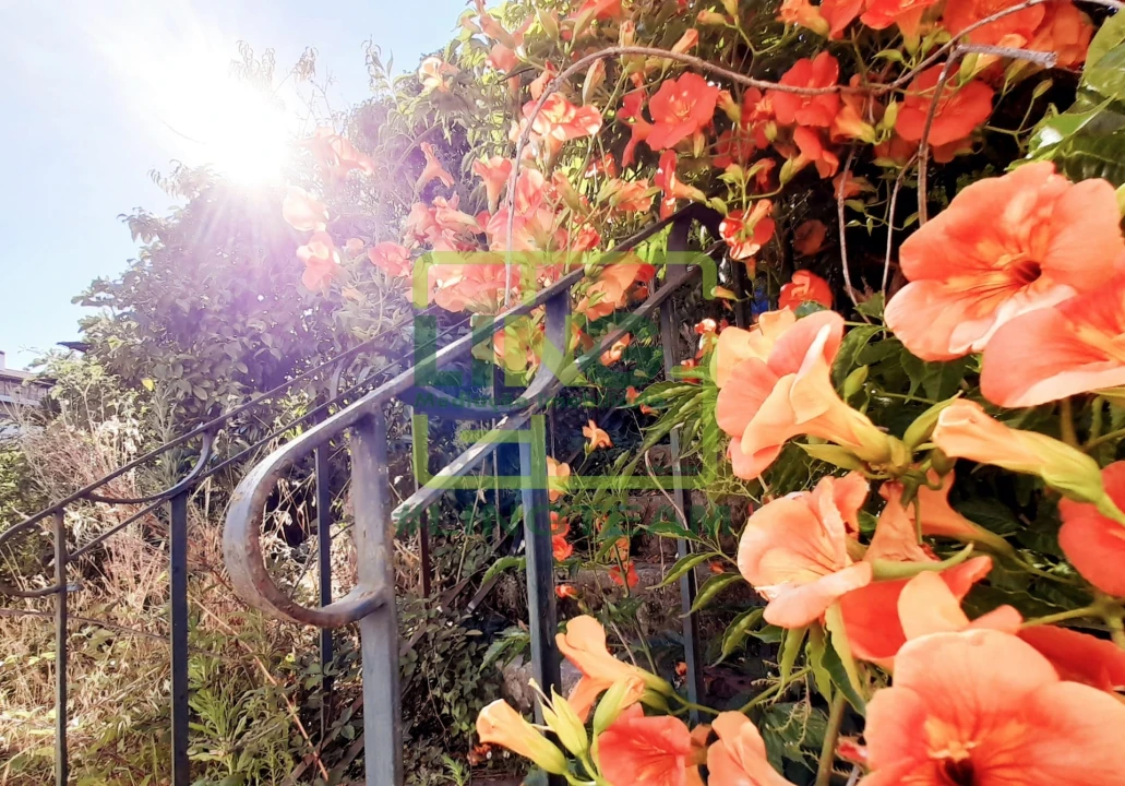 Moradia T9 para Venda em Tortosendo Foto 12