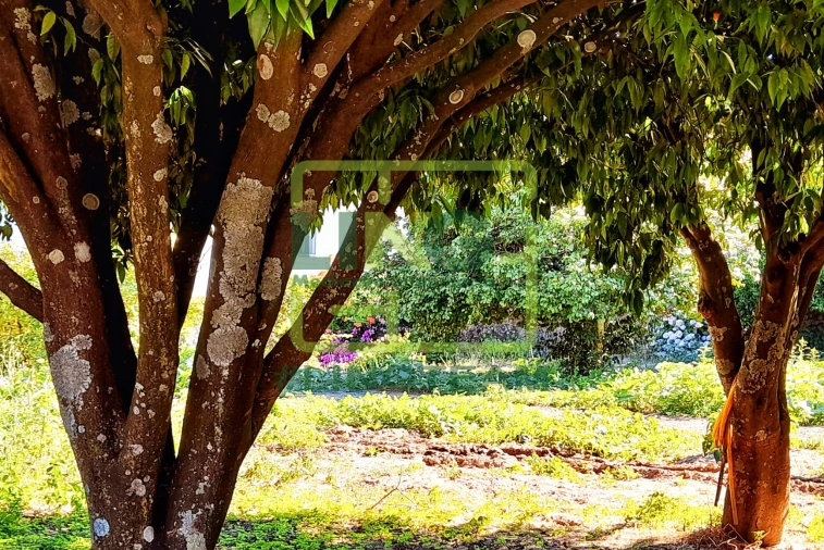 Moradia T12 para Venda em Tortosendo Foto 8