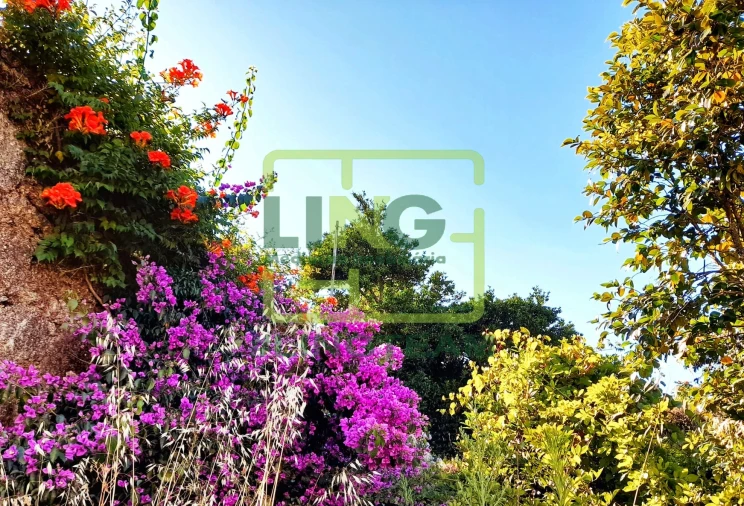 Moradia T12 para Venda em Tortosendo Foto 16