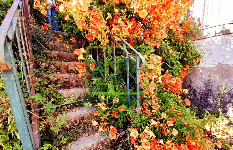 Moradia T12 para Venda em Tortosendo Foto 15