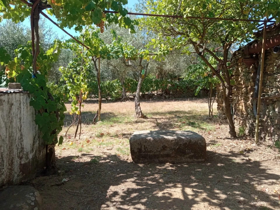 Quinta T0 para Venda em Proença-A-Velha Foto 4