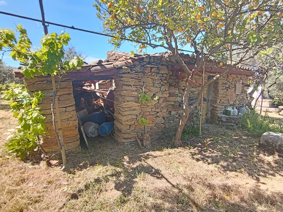 Quinta T0 para Venda em Proença-A-Velha Foto 42