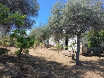 Quinta T0 para Venda em Proença-A-Velha