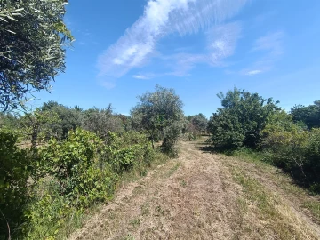 Quinta T0 para Venda em Proença-A-Velha
