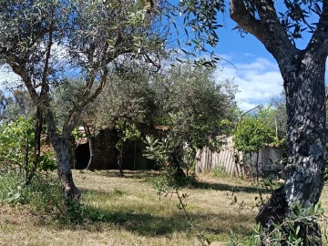 Quinta T0 para Venda em Proença-A-Velha