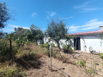 Quinta T0 para Venda em Proença-A-Velha
