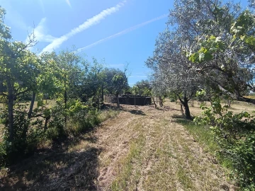 Quinta T0 para Venda em Proença-A-Velha