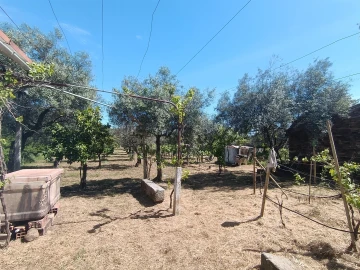 Quinta T0 para Venda em Proença-A-Velha