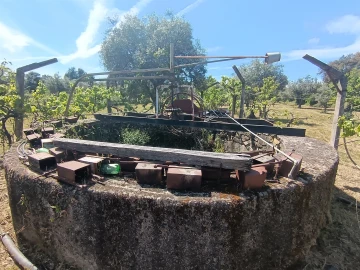 Quinta T0 para Venda em Proença-A-Velha