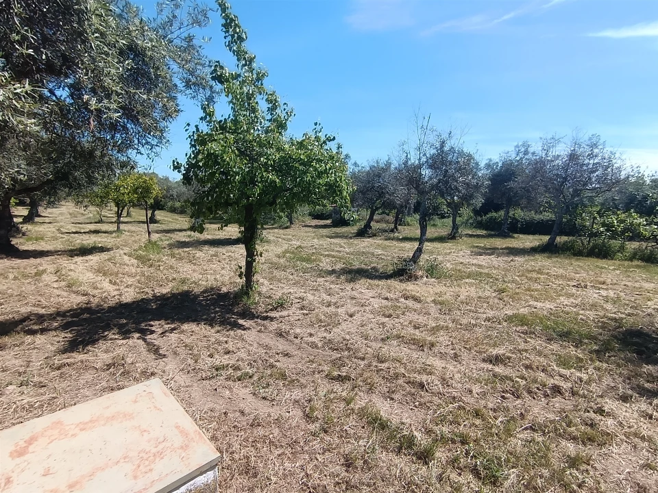 Quinta T0 para Venda em Proença-A-Velha Foto 43