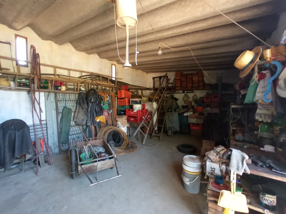 Quinta T0 para Venda em Proença-A-Velha Foto 9