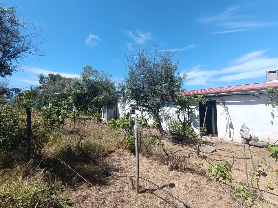 Quinta T0 para Venda em Proença-A-Velha Foto 39
