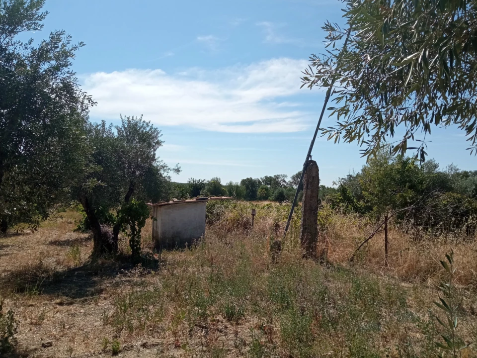 Quinta T0 para Venda em Proença-A-Velha Foto 18
