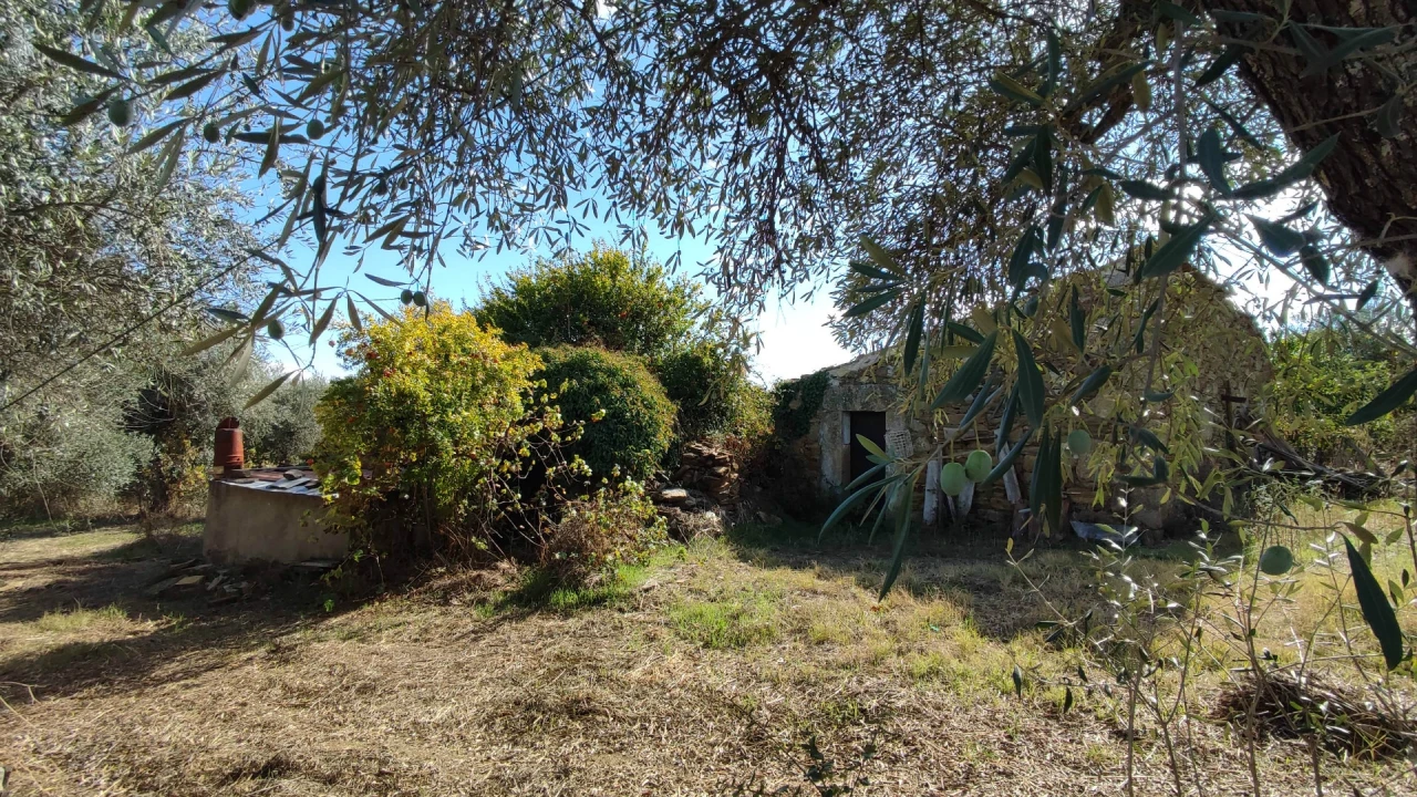 Quinta T0 para Venda em Proença-A-Velha Foto 1