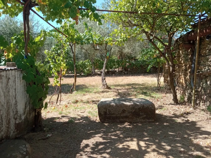 Quinta T0 para Venda em Proença-A-Velha Foto 4