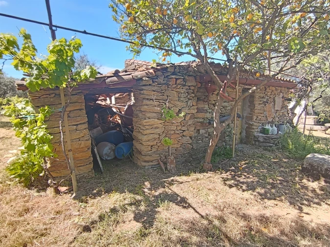 Quinta T0 para Venda em Proença-A-Velha Foto 42
