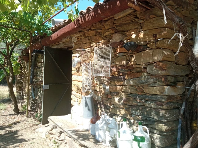 Quinta T0 para Venda em Proença-A-Velha Foto 11