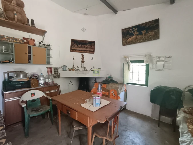 Quinta T0 para Venda em Proença-A-Velha Foto 71