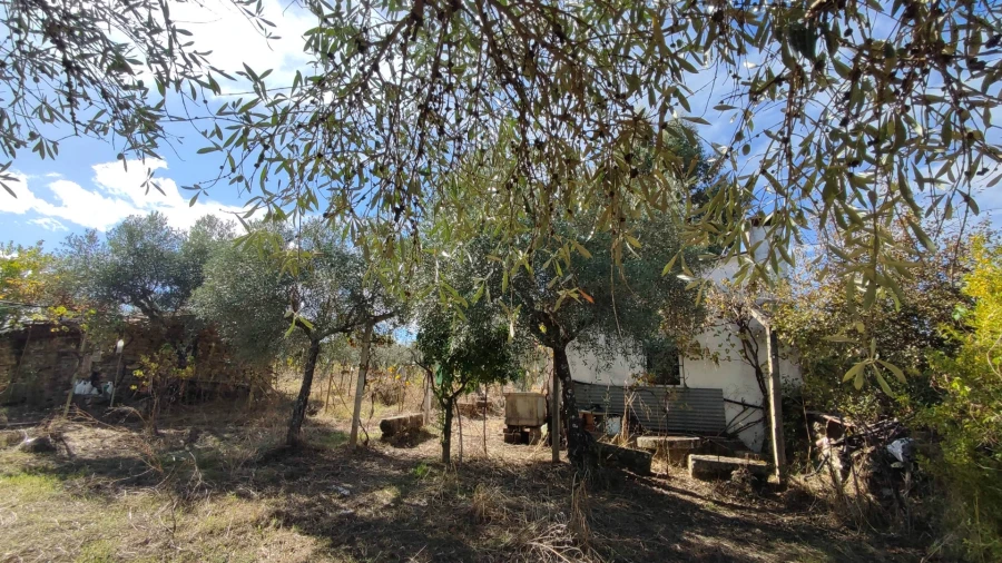 Quinta T0 para Venda em Proença-A-Velha Foto 21