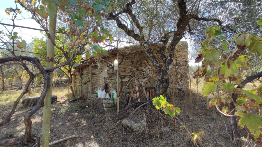 Quinta T0 para Venda em Proença-A-Velha Foto 2