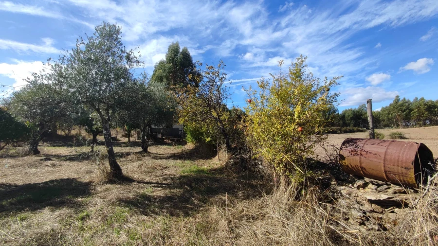 Quinta T0 para Venda em Proença-A-Velha Foto 22