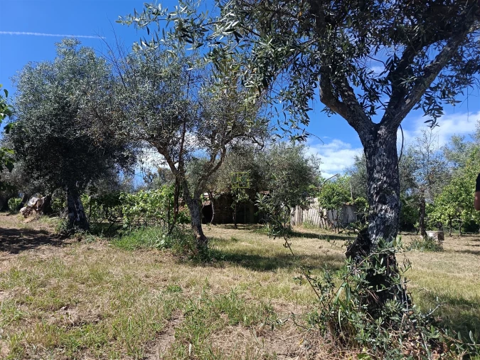 Quinta T0 para Venda em Proença-A-Velha Foto 82